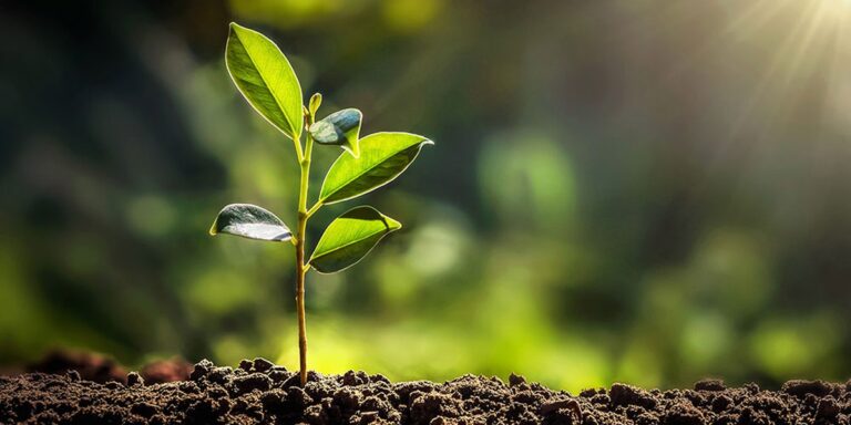Cia con IBMA Italia per protezione piante e sostenibilità agricoltura